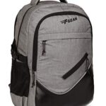 F Gear Parade Melange 30 Ltrs Light Grey Laptop Backpack (3171)