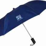 Eume Leatrix 21 Inch (53.34Cm) 2 Fold Auto-Open Umbrella(Blue, Blue)